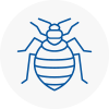 Bed Bug Extermination In Farnham Royal