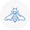 Bee Nest Removal Farnham Royal