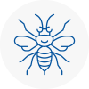 Farnham Royal Hornet Nest Removals