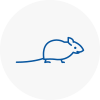 Mice Exterminators In Farnham Royal