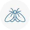Moth Control Specialists In Farnham Royal
