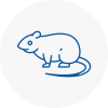 Rat Control Farnham Royal
