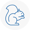 Farnham Royal Rodent Removals